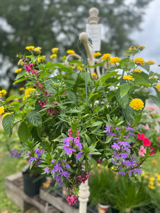 KwikKombo Summer Fun