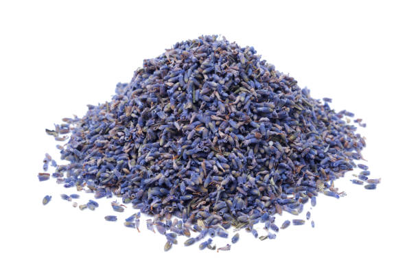Lavender Flowers Dried Organic Herb